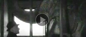 Pathé News Video of Maidstone Zoo